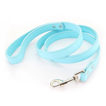 Leather Pet Walking Training Leads