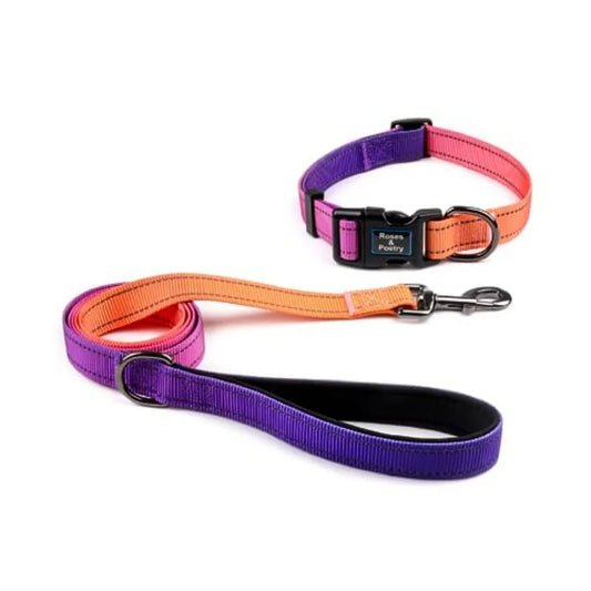Reflective Dog Collar and Leash Set