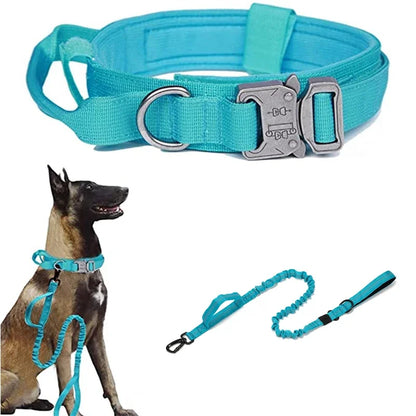 Dog Collar Leash Set Adjustable  Leash  Dog Training Accessories