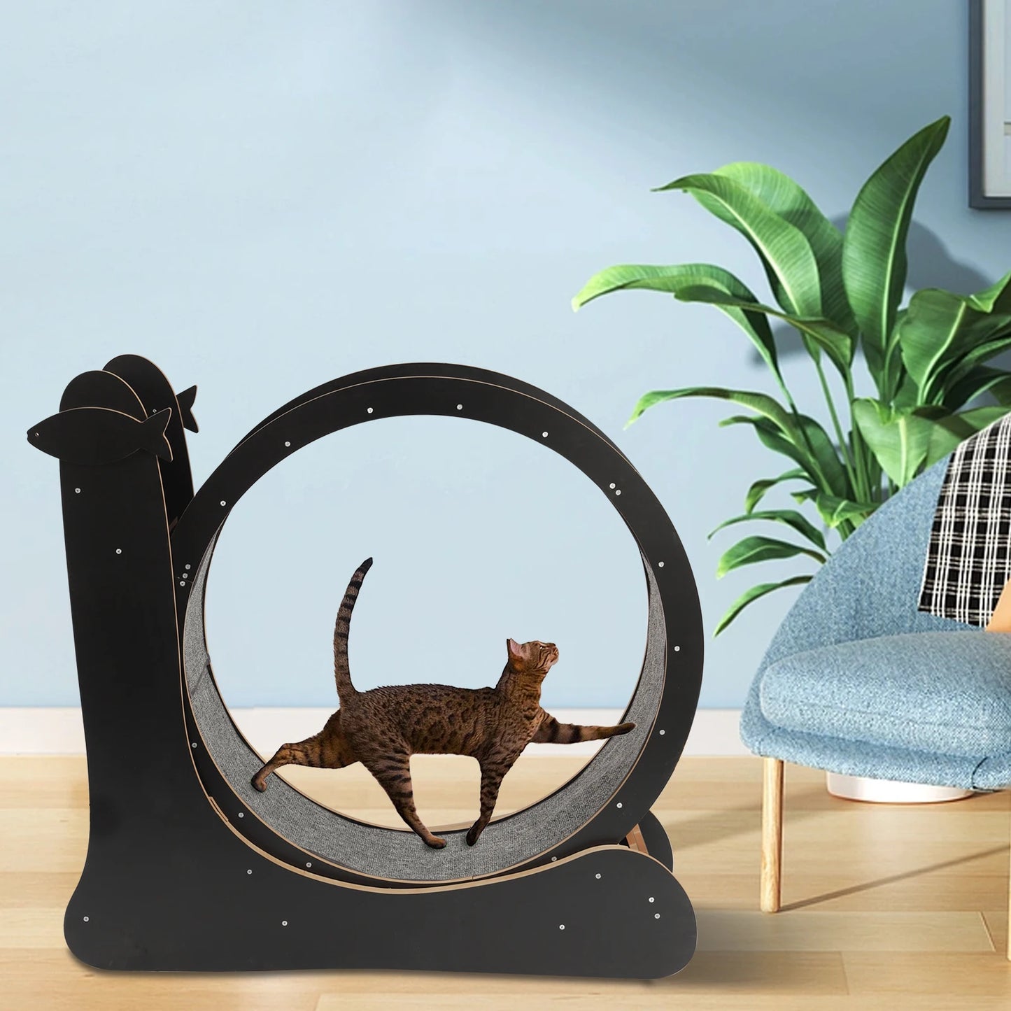 Large Cat Treadmill ,Cat Sport Toy Fitness Weight Loss Device for Cats