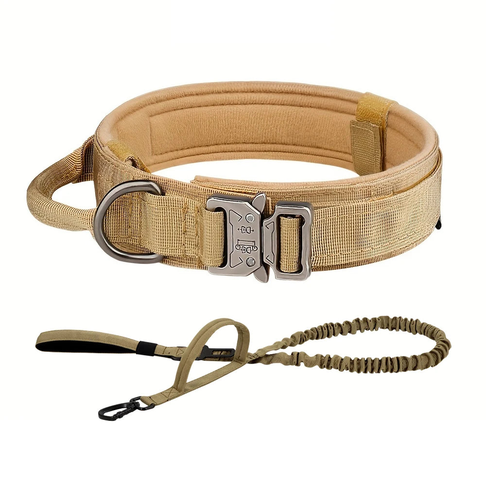 Dog Training Collar Adjustable