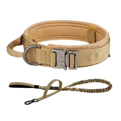 Dog Training Collar Adjustable