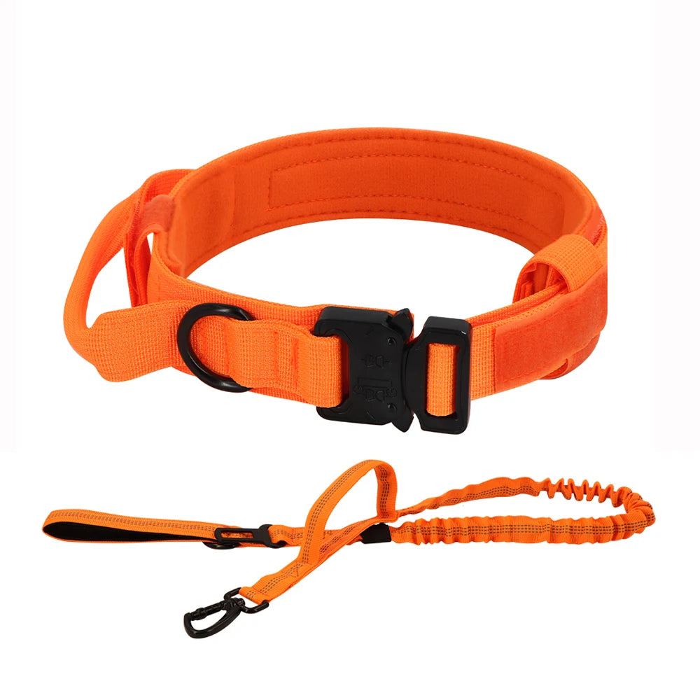 Dog Training Collar Adjustable