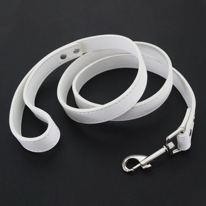 Leather Pet Walking Training Leads