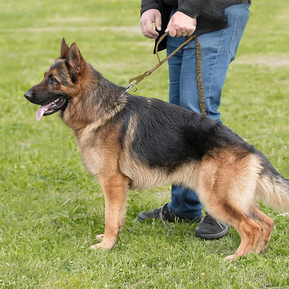 Leashes Adjustable  Quick Release