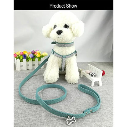 Dog Collar and Harness and Lead Sets Fashion
