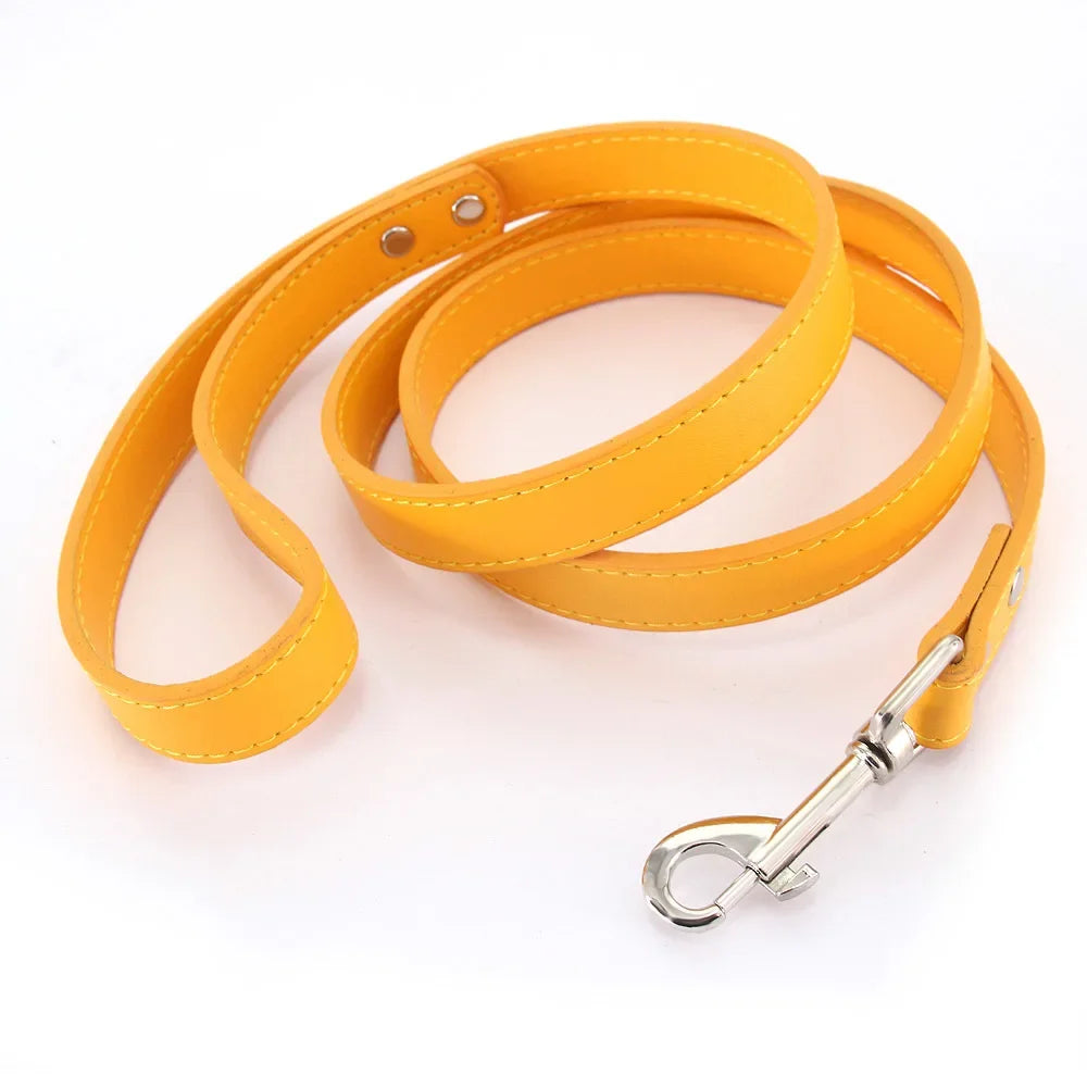 Leather Pet Walking Training Leads