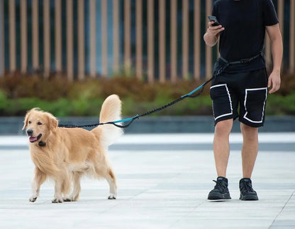 Retractable Hands Free Dog Leash With Dual Handle Bungee Waist Belt For Small Medium Large Dogs 25-150 Lbs Black
