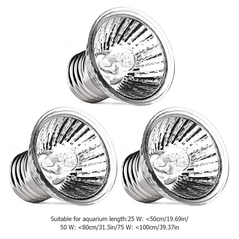 Reptile Lamp Pet Amphibians