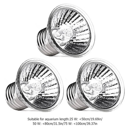 Reptile Lamp Pet Amphibians