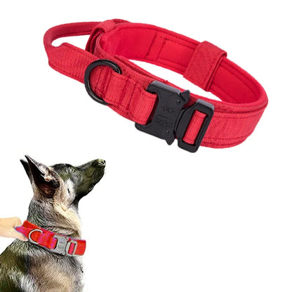 Dog Collar Leash Set Adjustable  Leash  Dog Training Accessories