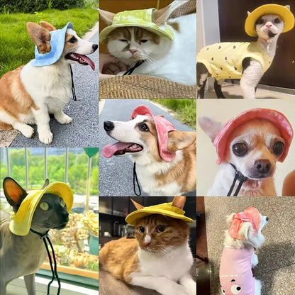 Pets Hat with Ear Holes Adjustable Baseball Cap
