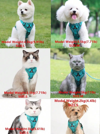 Reflective Pet Harness And Leash Set, Suitable For Dogs & Cats,