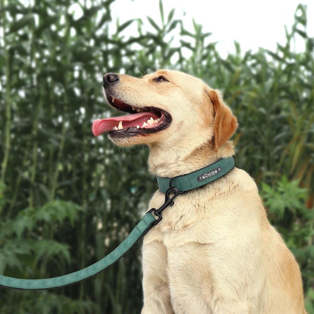 Leather Dog  Collars and Leash Set Durable Leather Collar Lead