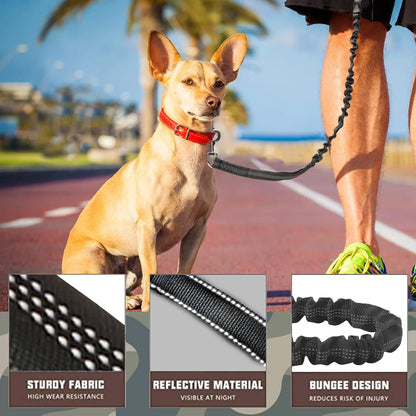 Dog Leash Large Dogs, Bungee Dog Leash Heavy Duty