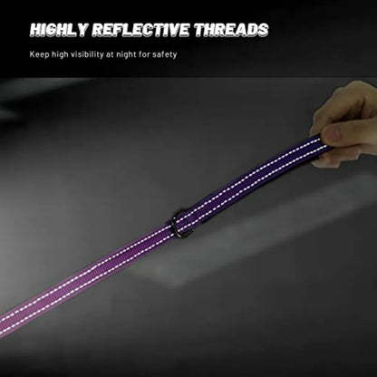 Reflective Dog Collar and Leash Set