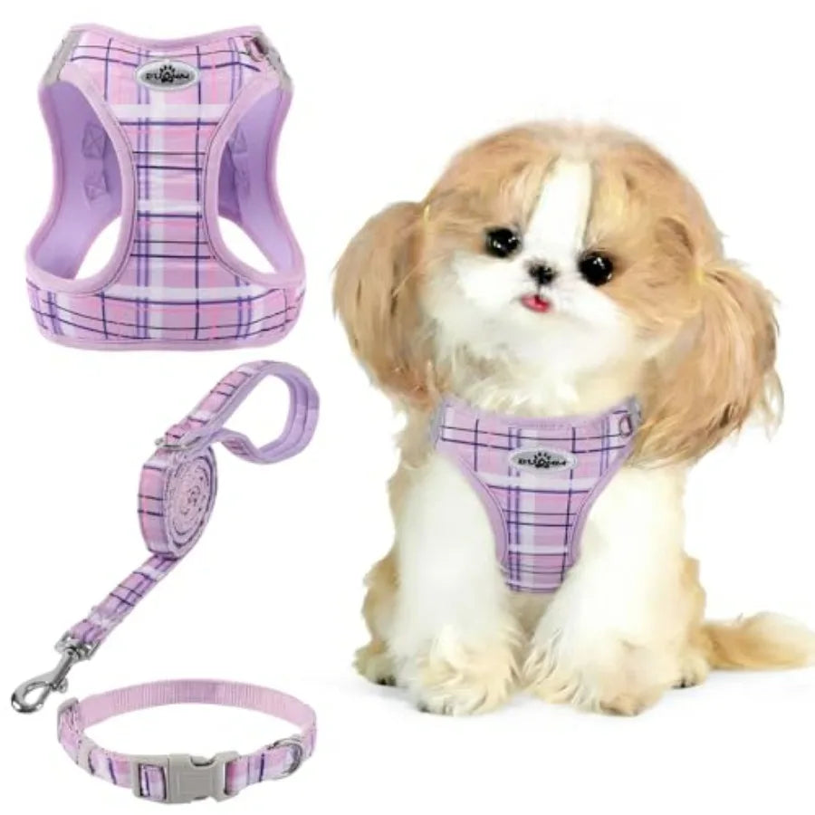 No Pull Dog  Harness Collar Leash Set
