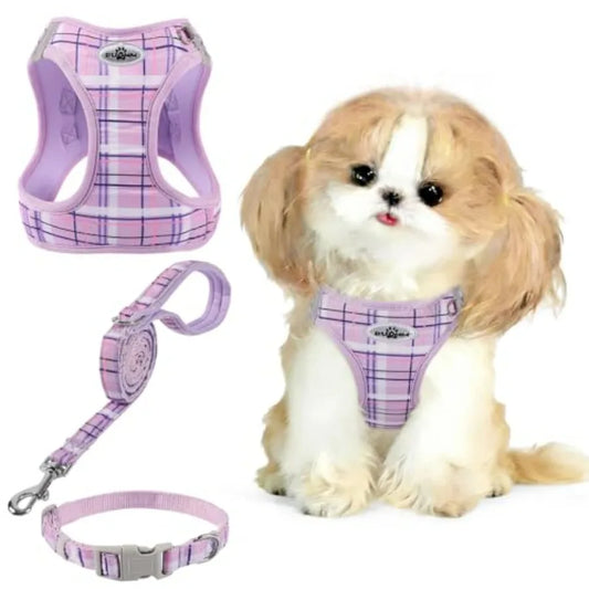 No Pull Dog  Harness Collar Leash Set