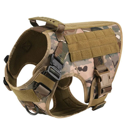 Large Dog Harness And Leash .Walking