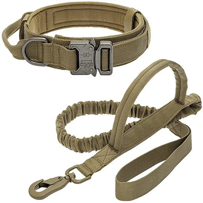 Dog Collar Leash Set Adjustable  Leash  Dog Training Accessories