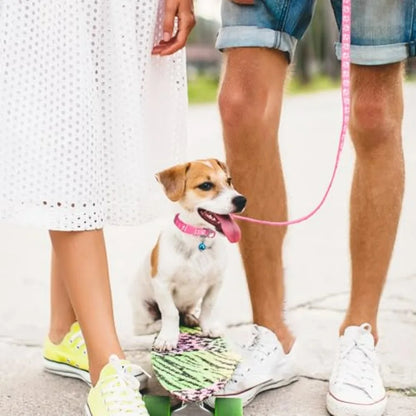 3 Pack Puppy Collar and Leashes Cat