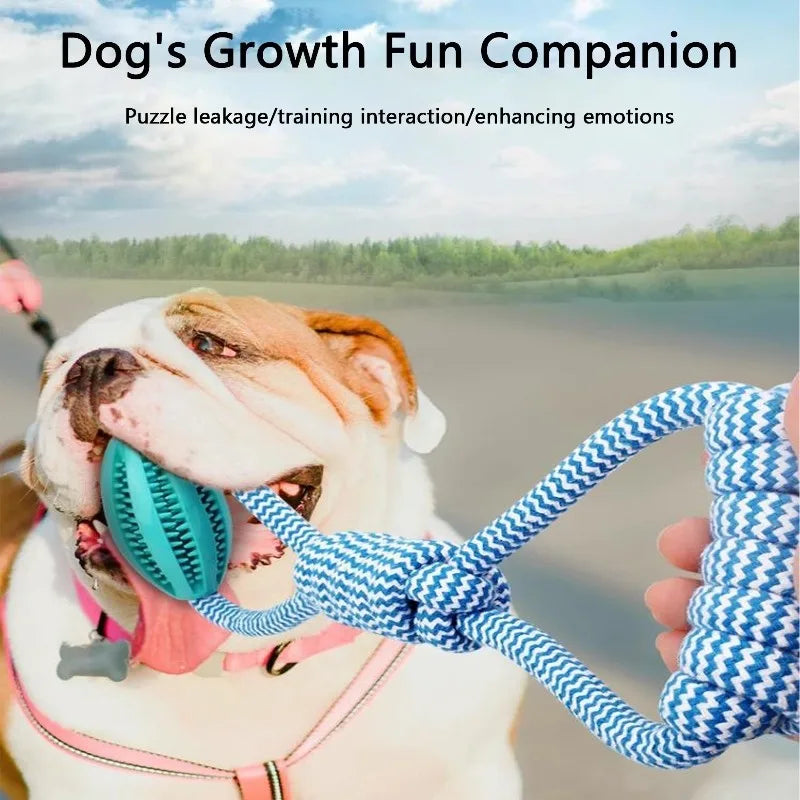 Interactive Dog Treat Ball  Toy , Mental Stimulation
