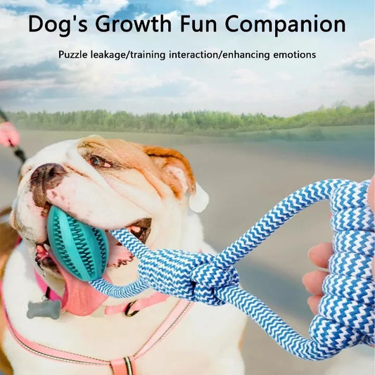 Interactive Dog Treat Ball  Toy , Mental Stimulation