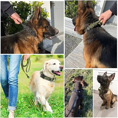Dog Collar Leash Set Adjustable  Leash  Dog Training Accessories
