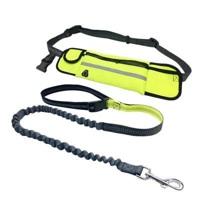 Hands Free Dog Leash with Zipper Pouch Reflective Bungee