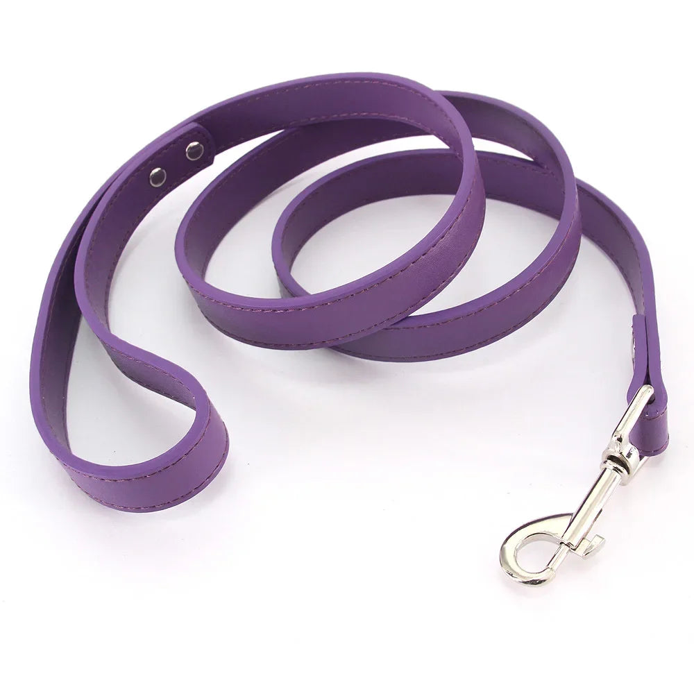 Leather Pet Walking Training Leads
