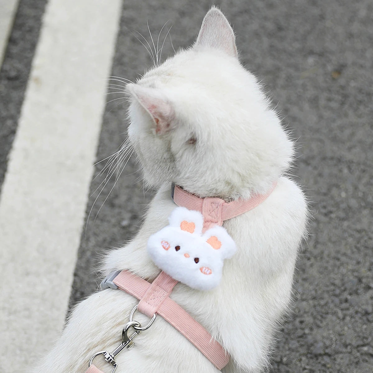 Adjustable Harness for Small Dog & Cat Leash Breathable