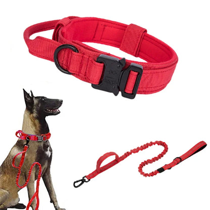 Dog Collar Leash Set Adjustable  Leash  Dog Training Accessories