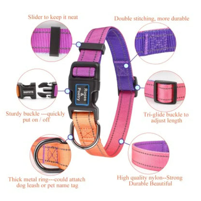 Reflective Dog Collar and Leash Set