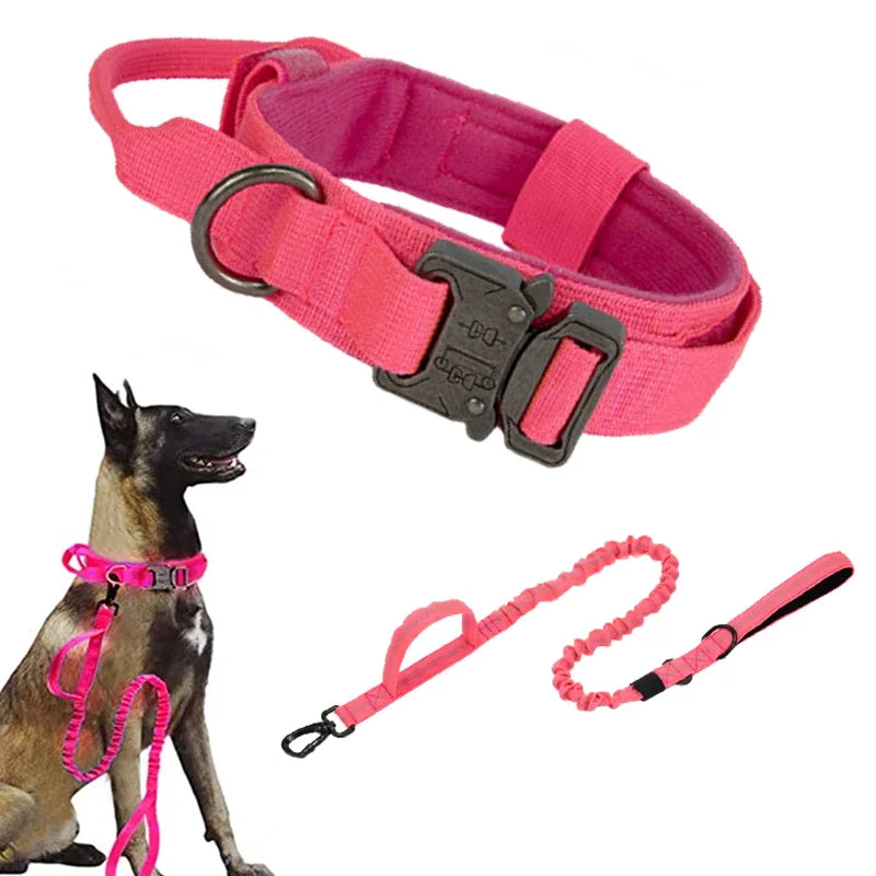 Dog Collar Leash Set Adjustable  Leash  Dog Training Accessories