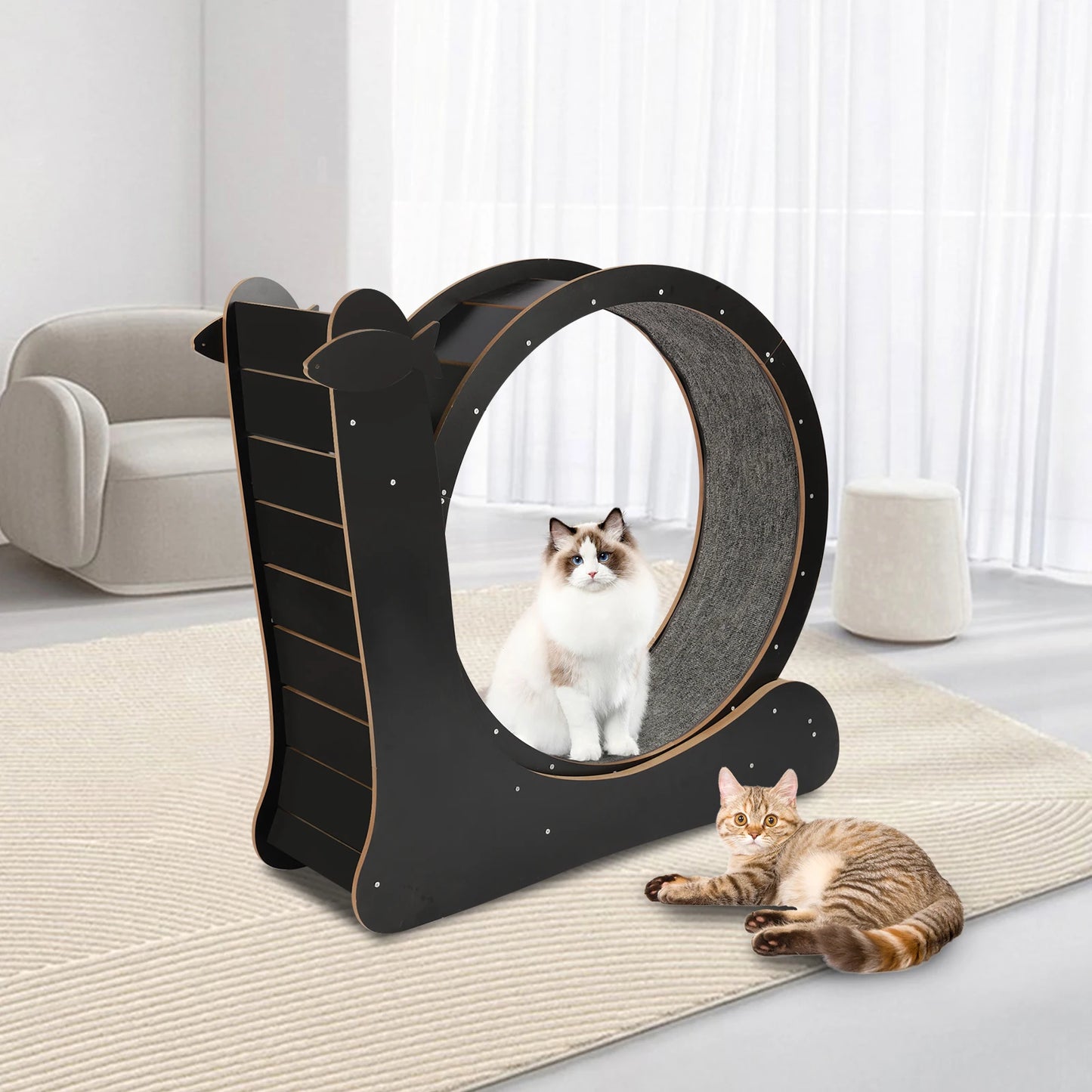 Large Cat Treadmill ,Cat Sport Toy Fitness Weight Loss Device for Cats