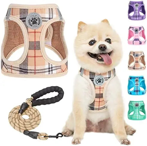 Safe Harness for Small Dogs & Cats – Set – Safe & Reflective for Puppy