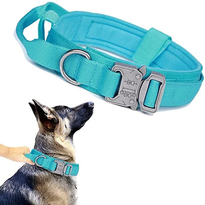 Dog Collar Leash Set Adjustable  Leash  Dog Training Accessories