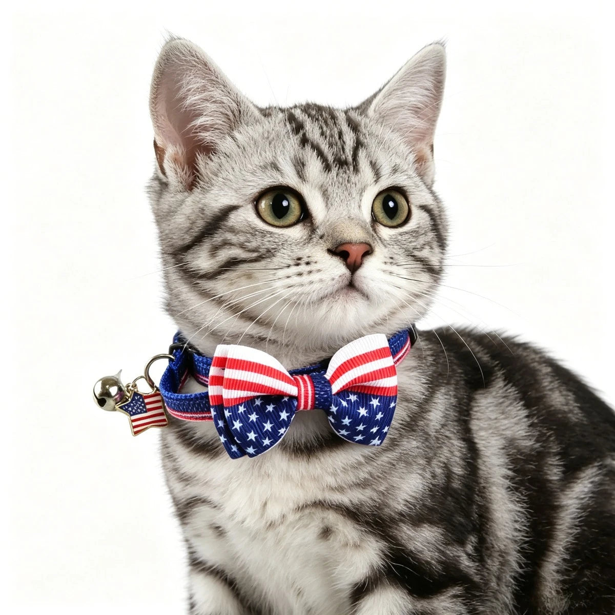 Patriotic pet collar, Independence Day and holiday parties