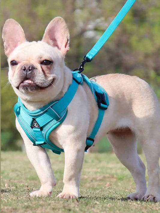 Reflective Pet Harness And Leash Set, Suitable For Dogs & Cats,