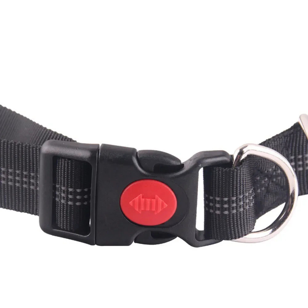 Retractable Dog Leash with Adjustable Waist Rope Hand Free