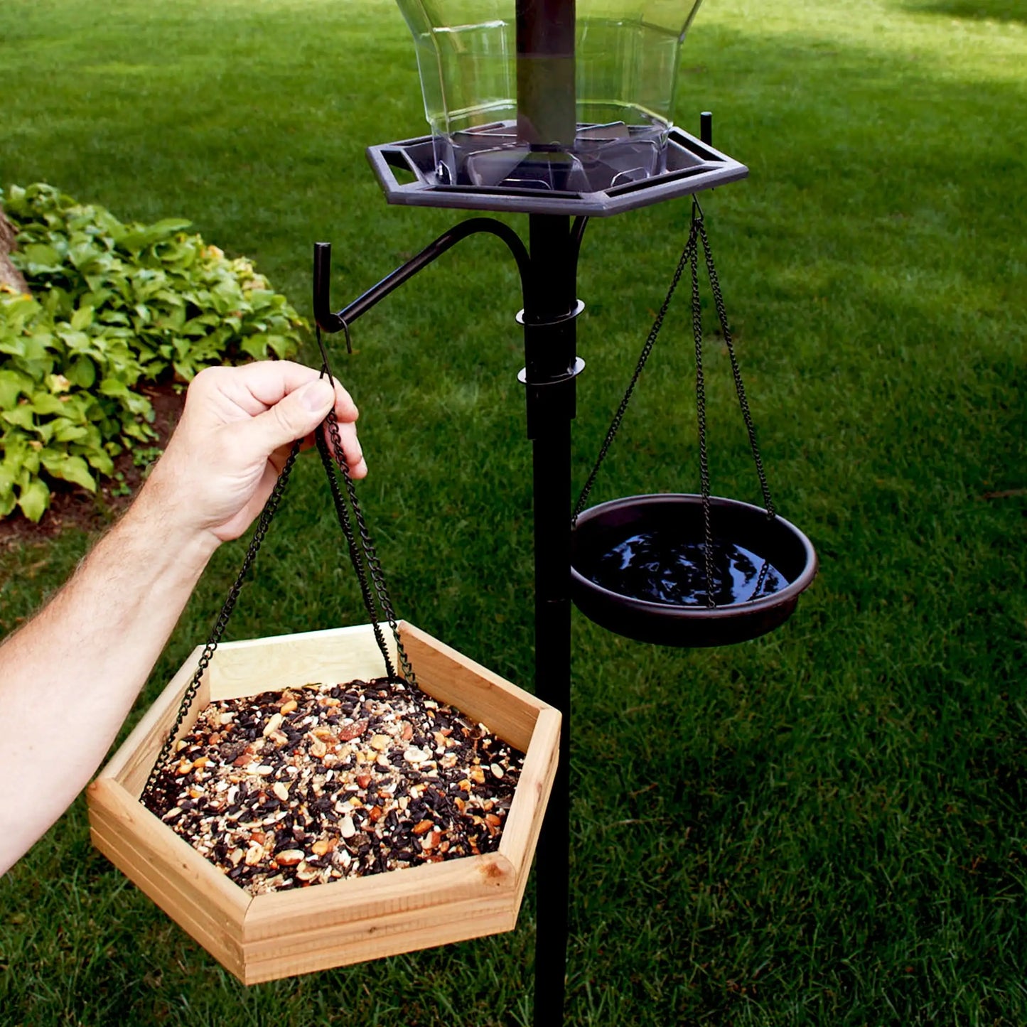 2 in 1 Bird Bath and Wild Bird Feeder