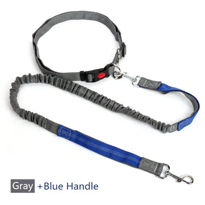 Retractable Dog Leash with Adjustable Waist Rope Hand Free
