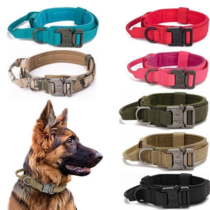 Dog Collar Leash Set Adjustable  Leash  Dog Training Accessories