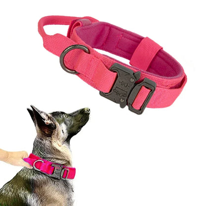 Dog Collar Leash Set Adjustable  Leash  Dog Training Accessories