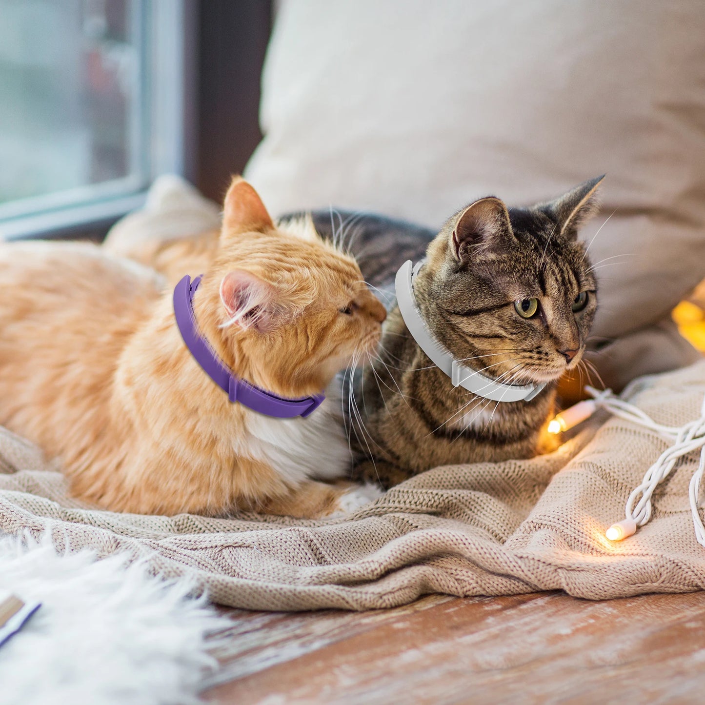 4Pcs Cat Calming Collar Calming Pheromone Collar
