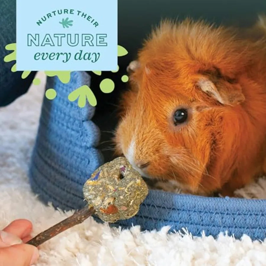 Enriched Life Twisty Rings, Small Pet Enrichment and Cage Ac