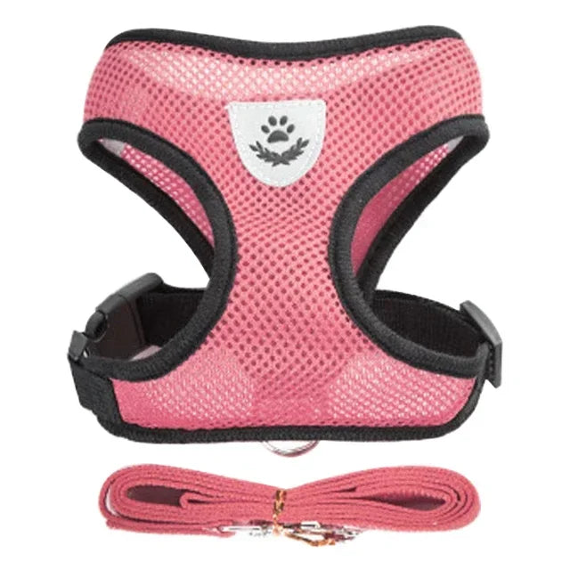 1pc-cat traction vest