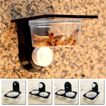 1pcs Reptile Tank  Food Water Feeding Bowl