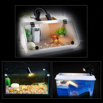 Reptile Lamp Pet Amphibians