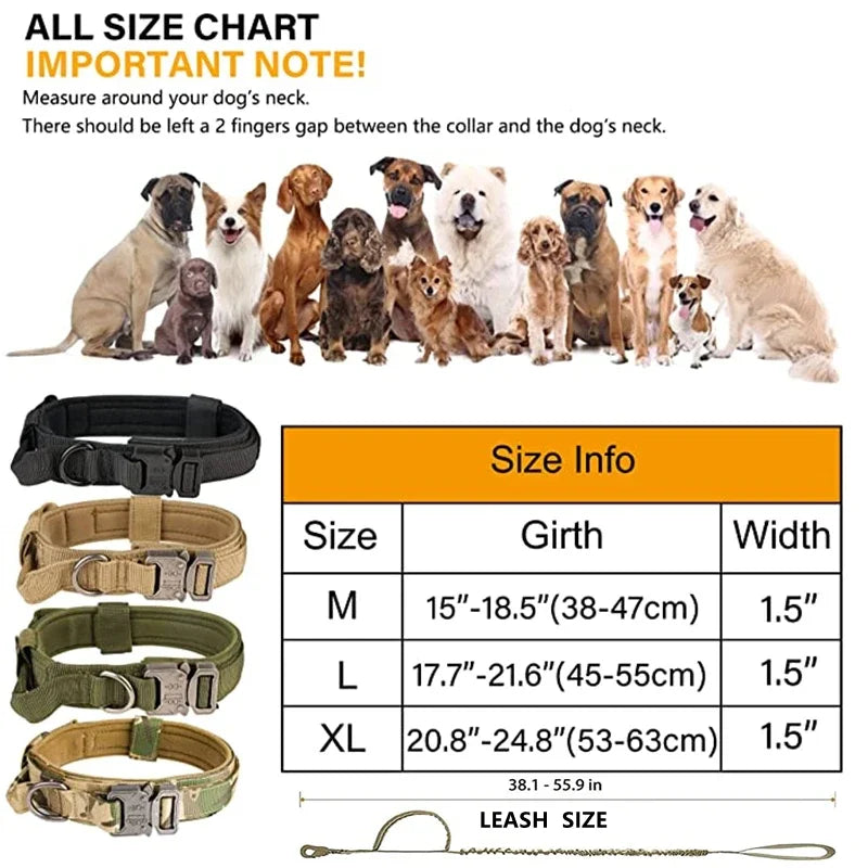 Dog Collar Leash Set Adjustable  Leash  Dog Training Accessories